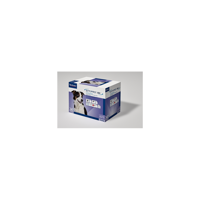 EFFIPRO DUO*24PIP 10-20KG CANI