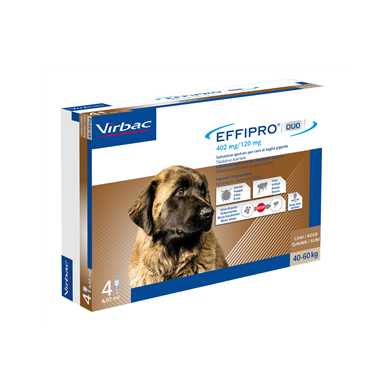 EFFIPRO DUO*4PIP 40-60KG CANI