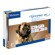 EFFIPRO DUO*4PIP 40-60KG CANI