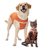 BODYCOBRE TG9-21-25KG 