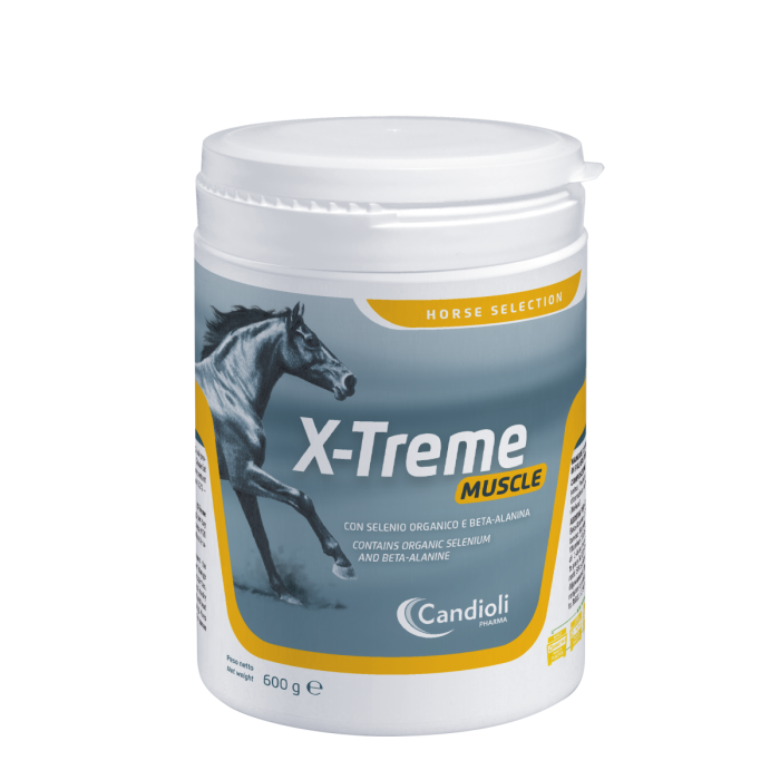 X-TREME MUSCLE 20BUST 20G