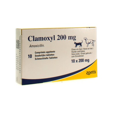 CLAMOXYL PAL.TAB.*10CPR 200MG