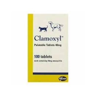 CLAMOXYL PAL.TAB.*10CPR 400MG