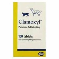 CLAMOXYL PAL.TAB.*10CPR 400MG