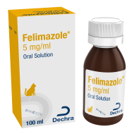 FELIMAZOLE*OS SOLUZ 1FL 100ML