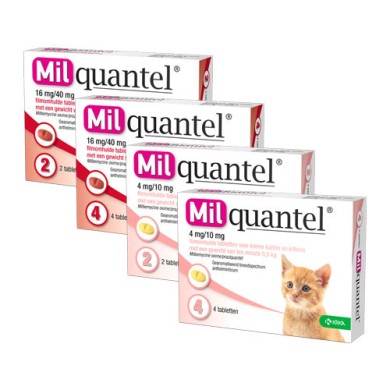 MILQUANTEL*48CPR4MG+10MG GATTI
