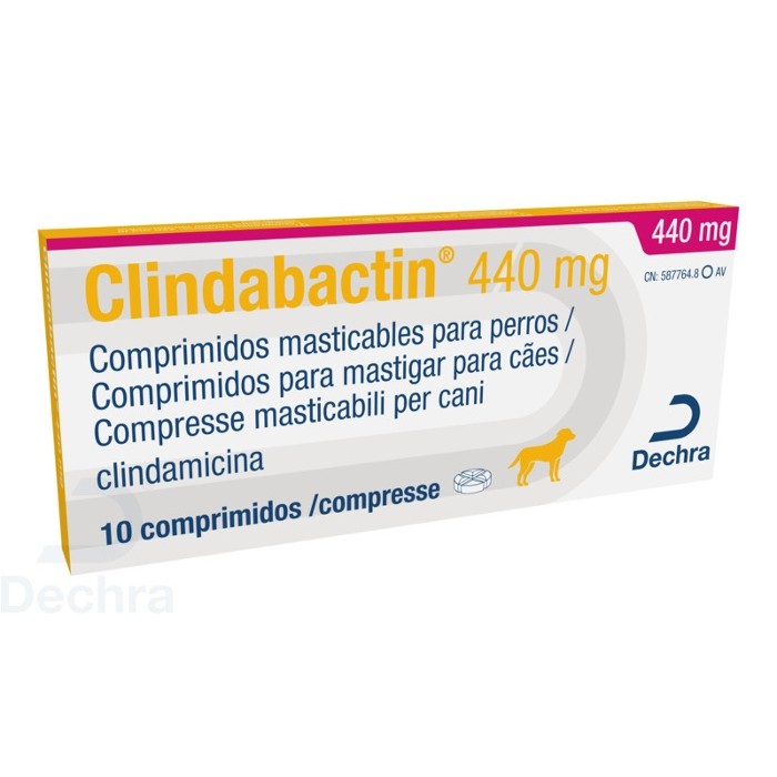 CLINDABACTIN*10CPR 440MG