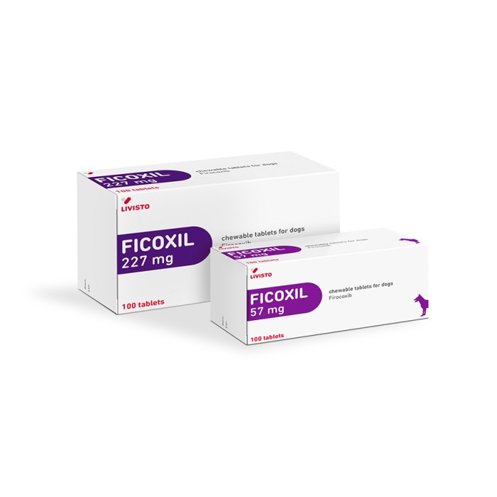 FICOXIL*10CPR MAST 227MG