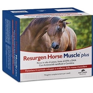 RESURGEN HORSE 20BUST