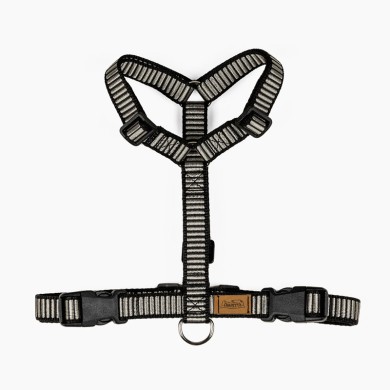 CH PETTO OCEAN STORM TG L