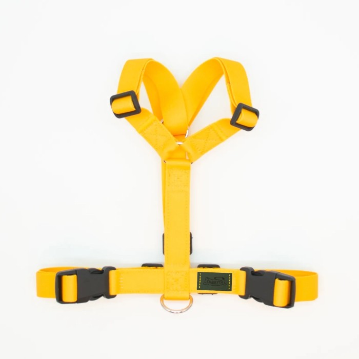 CH PETTORINA EARTH LEMON TG M