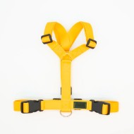 CH PETTORINA EARTH LEMON TG M