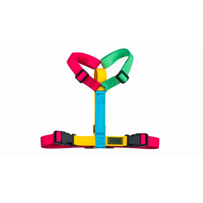 CH PETTORINA EARTH RAINBW XXS