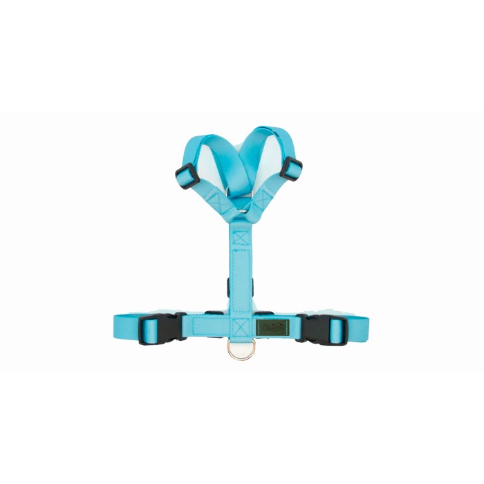 CH PETTORINA EARTH SKY TG S