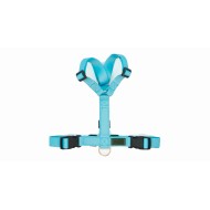 CH PETTORINA EARTH SKY TG S