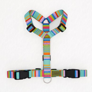 CH PETTORINA EARTH VIBES XS