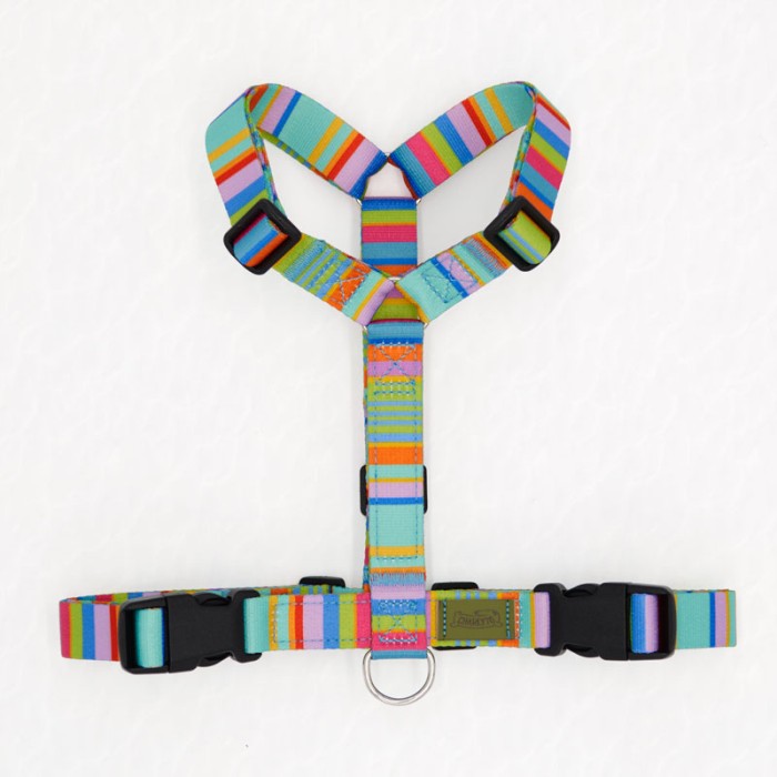 CH PETTORINA EARTH VIBES XS