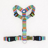 CH PETTORINA EARTH VIBES XS