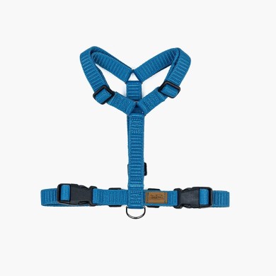 CH PETTORINA OCEAN AZZURR TG M