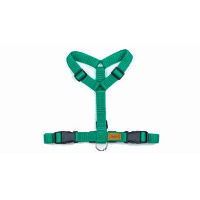 CH PETTORINA OCEAN CIRMOL TG M