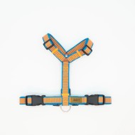 CH PETTORINA OCEAN SUNSET TG L