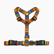 CH PETTORINA EARTH BUTTFLY M