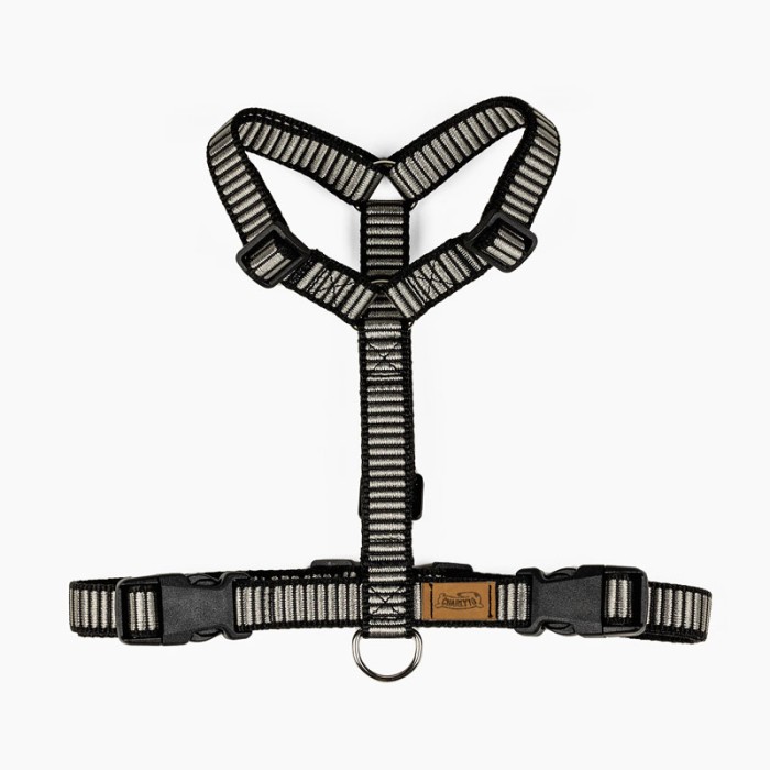 CH PETTORINA OCEAN STORM TG M