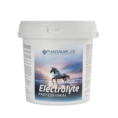 ELECTROLYTE PROFESSIONAL 3KG