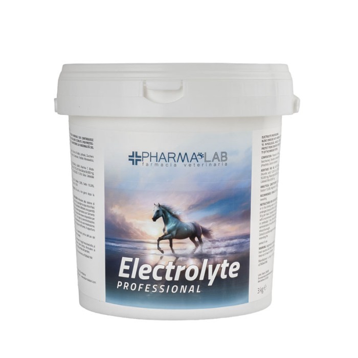 ELECTROLYTE PROFESSIONAL 3KG