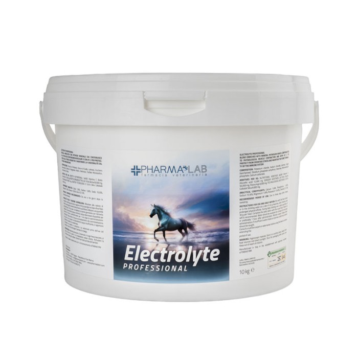 ELECTROLYTE PROFESSIONAL 10KG