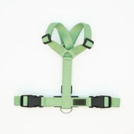 CH PETTORINA EARTH APPLE TG S