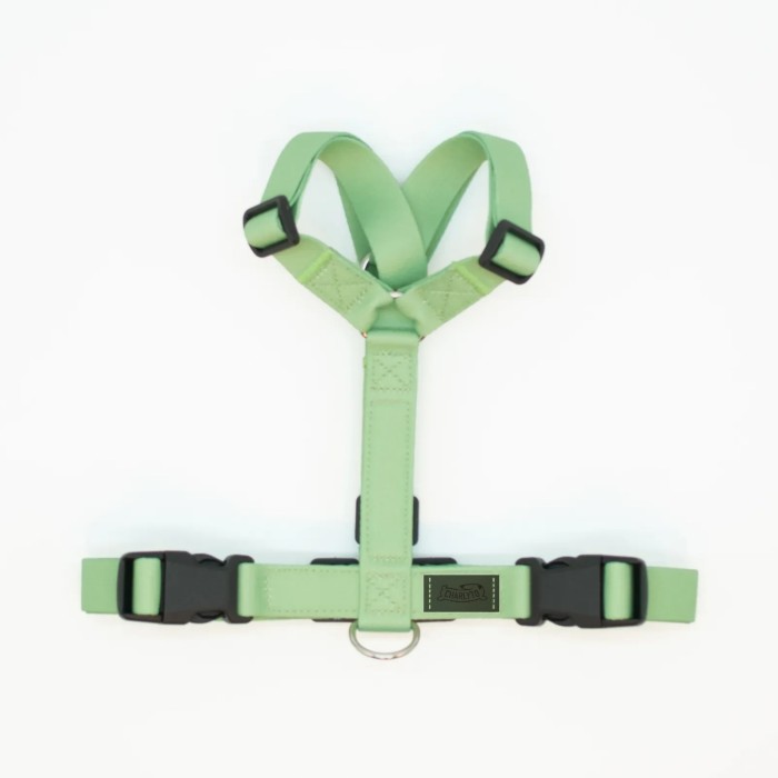 CH PETTORINA EARTH APPLE TG XXS