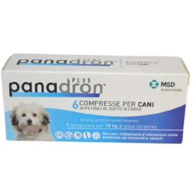 PANADRON PLUS*6CPR