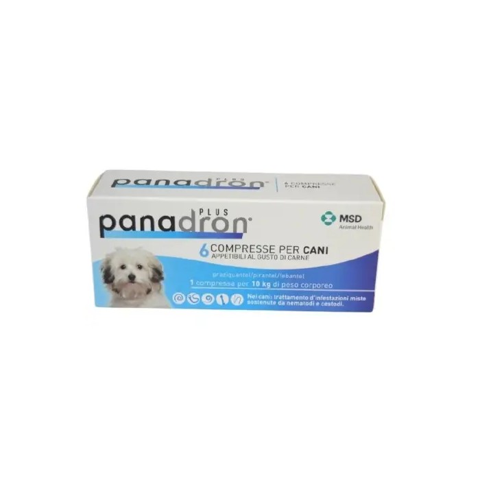 PANADRON PLUS*6CPR