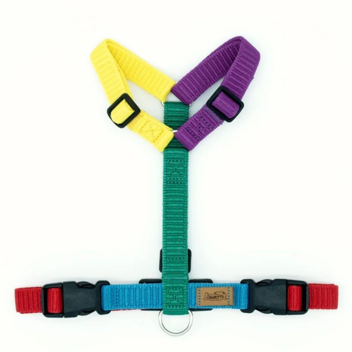 CH PETTO OCEAN F-POW TG M D/A