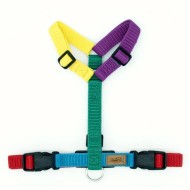 CH PETTO OCEAN F-POW TG M D/A