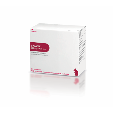 CYLANIC*250CPR 250MG+62,5MG