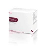 CYLANIC*250CPR 500MG+125MG