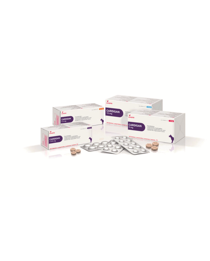 CARDISAN*100CPR MAST 2,5MG