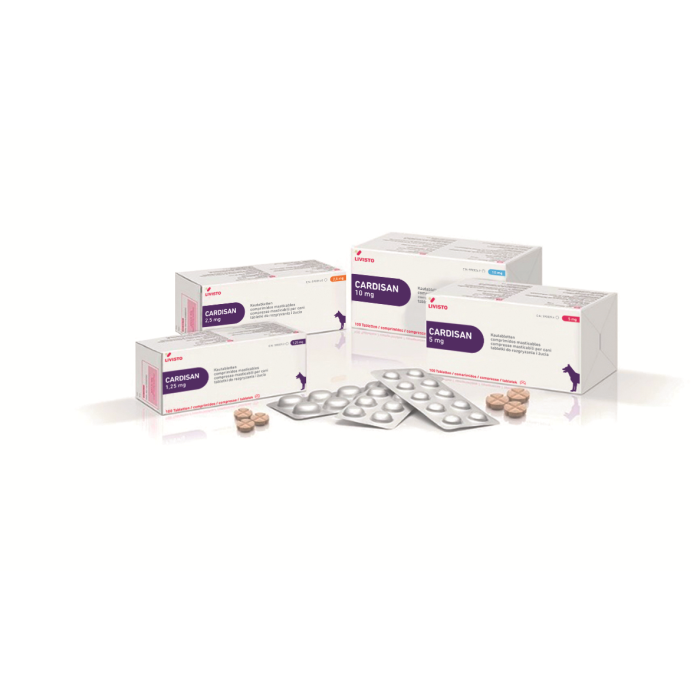 CARDISAN*100CPR MAST 2,5MG