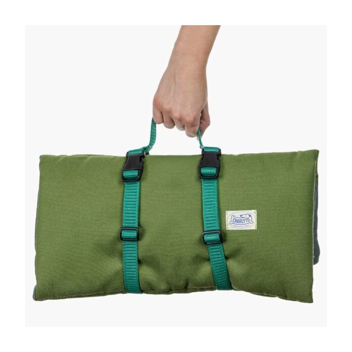 CH RE-DOG MAT TG M FOREST