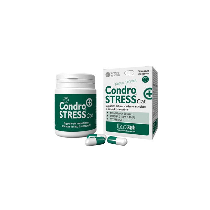 CONDROSTRESS + CAT 30CPS MONOD
