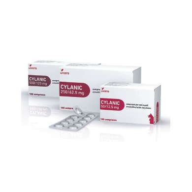 CYLANIC*100CPR 250MG+62,5MG