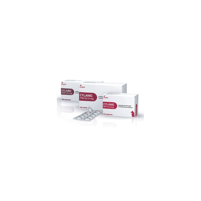 CYLANIC*100CPR 250MG+62,5MG