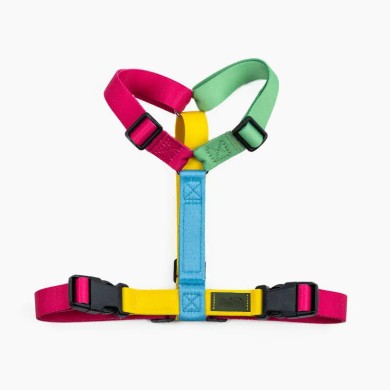 CH PETTO EARTH RAINB TG XS D/A