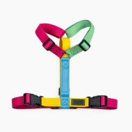 CH PETTO EARTH RAINB TG XS D/A