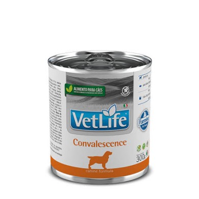 VET LIFE DOG CONVALESCENCE300G