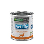 VET LIFE DOG CONVALESCENCE300G