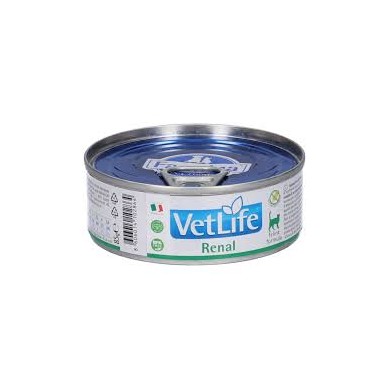 VET LIFE CAT RENAL 85G