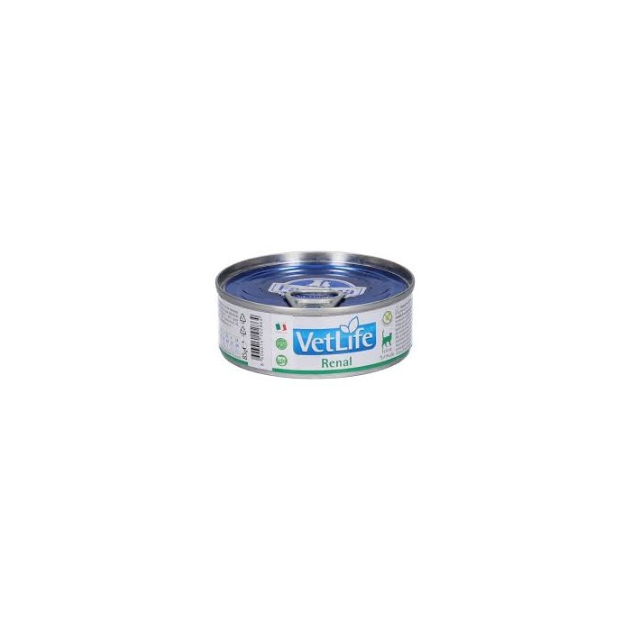 VET LIFE CAT RENAL 85G